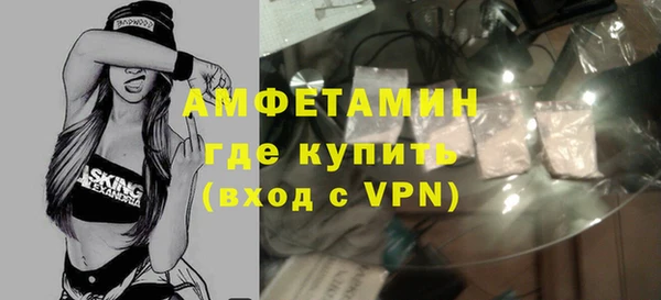 хмурый Аркадак