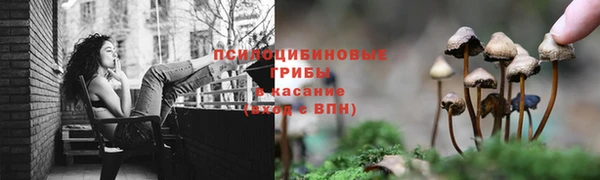 спиды Армянск