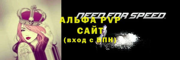 стафф Балахна