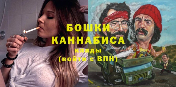 хмурый Аркадак