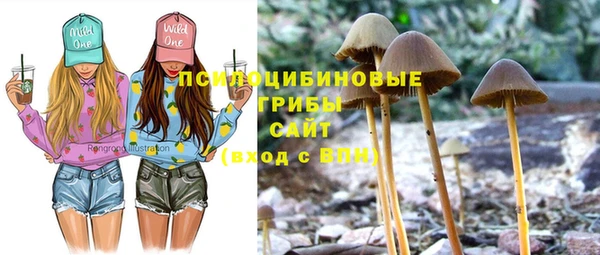 стафф Балахна