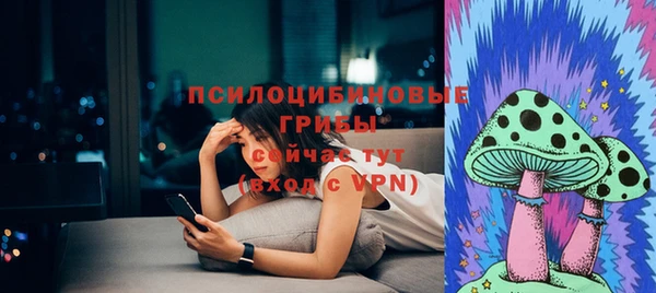 спиды Армянск