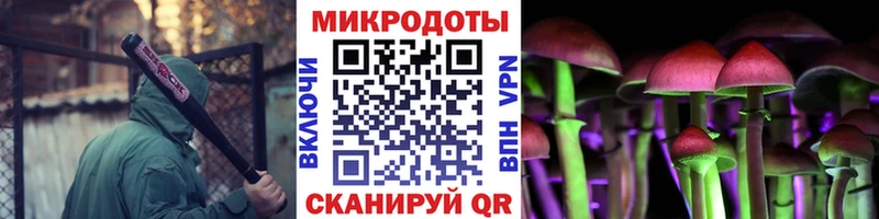 Псилоцибиновые грибы Psilocybe  omg маркетплейс  Пересвет 